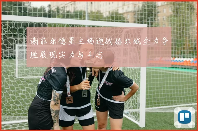 谢菲尔德星主场迎战赫尔城全力争胜展现实力与斗志