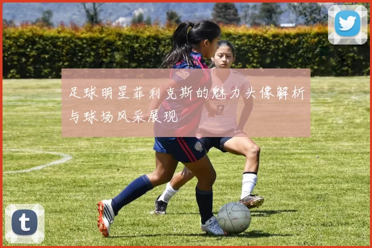足球明星菲利克斯的魅力头像解析与球场风采展现