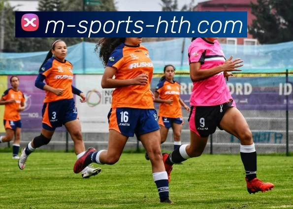 App Interface Preview